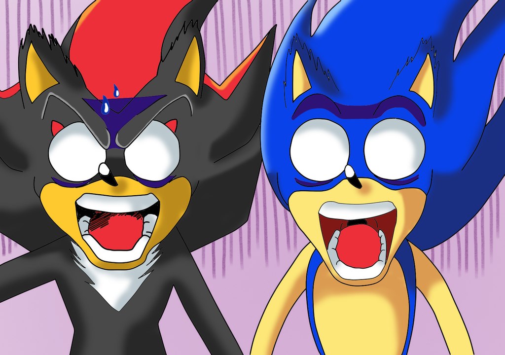Sonic y Shadow-La camara