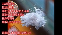 【閲覧注意】衝撃！清原容疑者わかって下さい！覚せい剤・麻薬・クスリの中毒者の末路が悲惨で悲しすぎる・・・