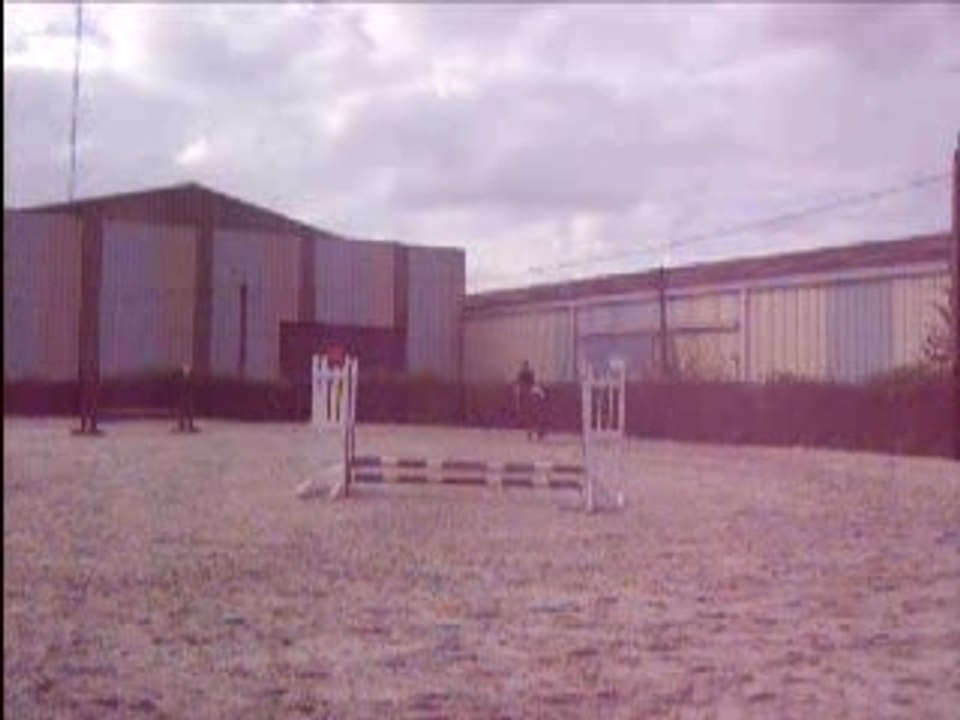 Gipsy et moi E3 60-70 cm