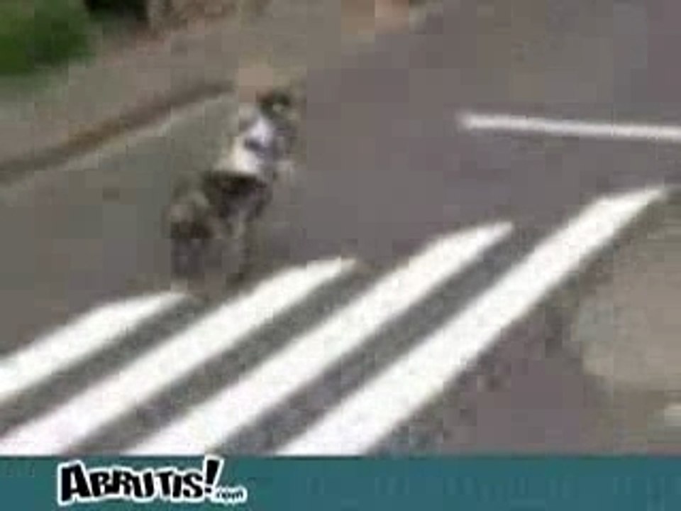 Velo_faÃ§on_supermotard_lol!