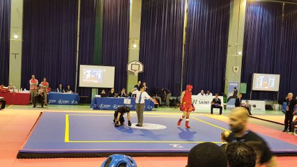 Hamid Karimi Championnat De France Sanda 2017 Finale Round 3
