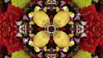 Pavel Panin - Tango voor de liefde 