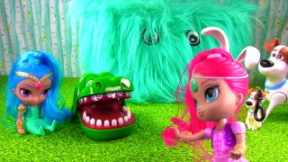 Wacky Crocodile Dentist Weds! Secret Life of Pets & Paw Patrol Get Bitten for Toys!