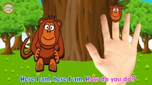 Monkeys Finger Family Nursery Rhymes | Dinosaur finger family rhymes collection