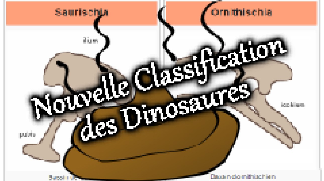 ACTUCRITIQUE 2 - NOUVELLE CLASSIFICATION DES DINOSAURES