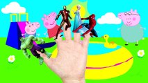 Finger Family Lollipop Hulk Frozen Elsa SuperHero Spiderman Nursery Rhymes lyrics song for