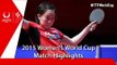 2015 Women´s World Cup Highlights: ISHIKAWA Kasumi vs LIU Jia (1/4)