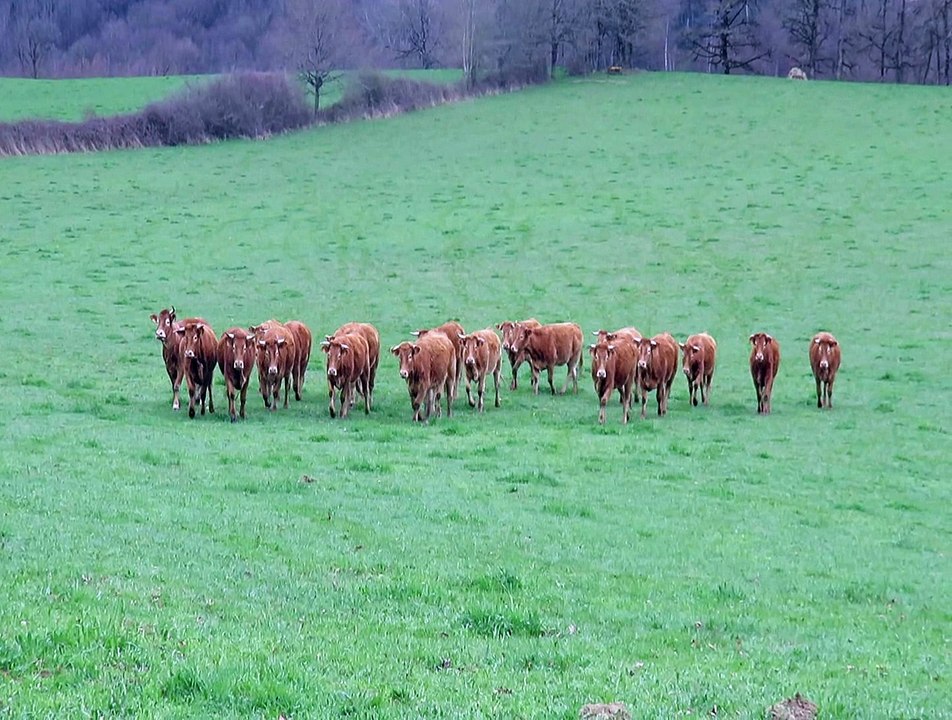 CHAMBOULIVE  en Corrèze