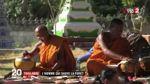 Thaïlande : un Français veut redonner vie aux forêts