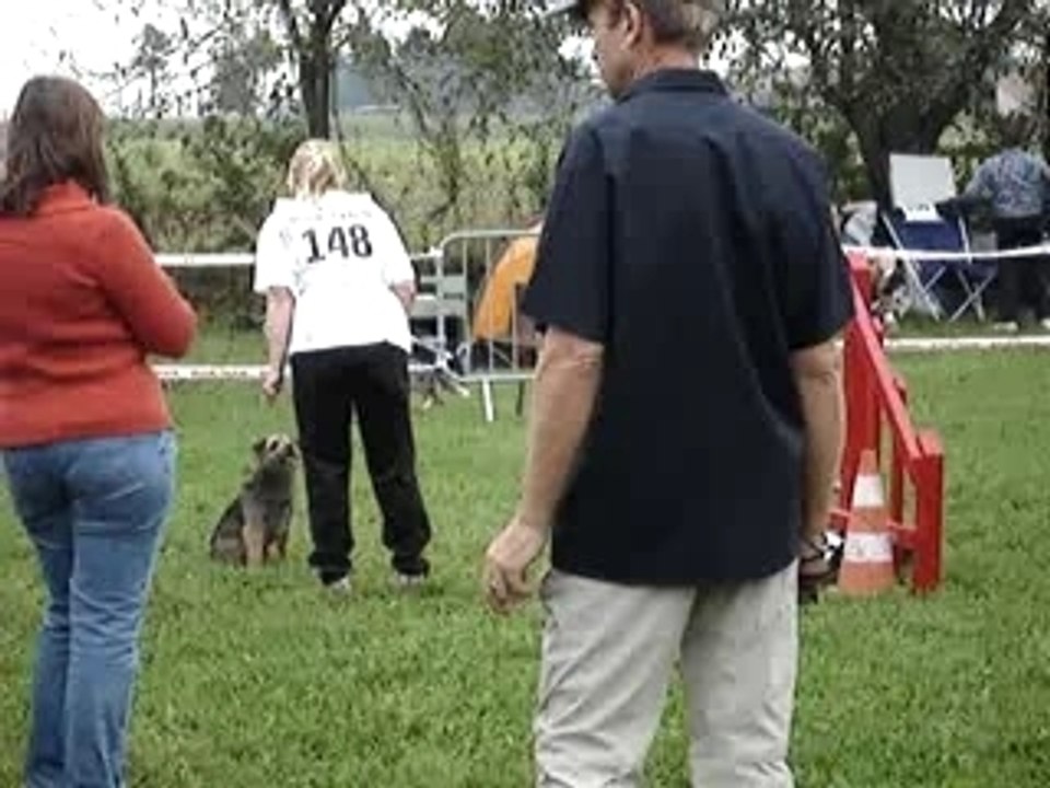 Vic agility