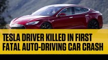 Tesla Driver Killed in First Fatal Auto-Driving Car Crash