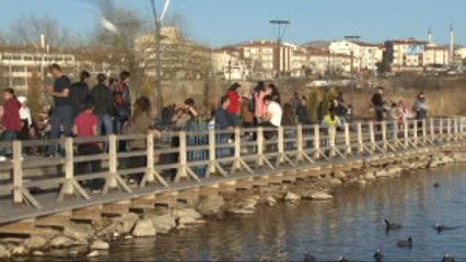 Mogan Gölü'nde Temizlik Seferberliği Başlatıldı