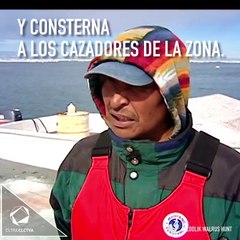 Canadá no sabe explicar el horrible sonido del Ártico.