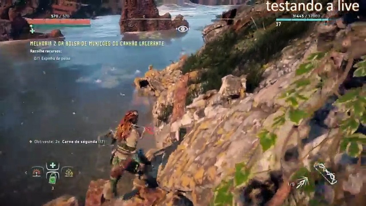 Horizon Zero Dawn (66)