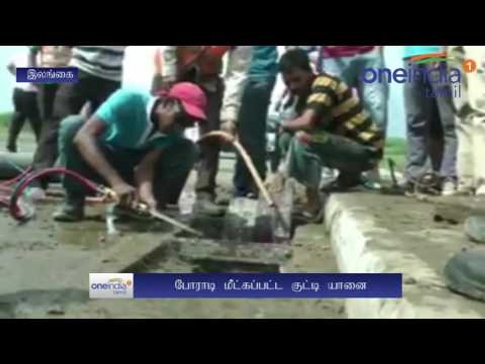Elephant cub stuck in drainage rescued in Sri Lanka