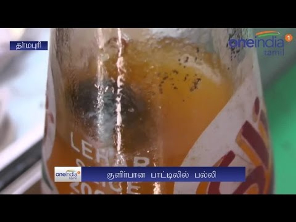 LIZARD in Soft Cold Drinks Bottle