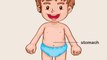 Learning body parts in English ABCs Teach Colours - Baby Toddler Preschool