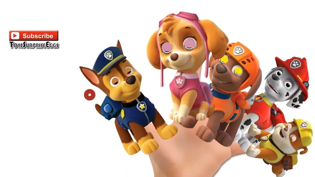 Paw Patrol Mermaid Finger Family Songs - Finger Family Nursery Rhymes Songs For Kids