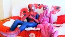 Spiderman & Pink Spidergirl vs T Rex! Ft Frozen Elsa in Real Life Fun Superhero w Comics B