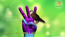 Eagle Finger Family - Plus Lots More Kids Rhymes Collection || 3D Nursery Songs - Kids Rhy