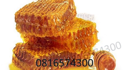 0816574300 Jual Madu Anak Mimika