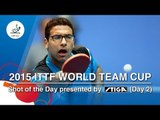 2015 ITTF World Team Cup Shot of Day 2 presented by STIGA