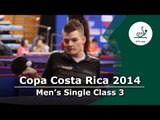 Copa Costa Rica 2014