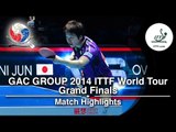 2014 World Tour Grand Finals Highlights: Jun Mizutani Vs Dimitrij Ovtcharov (FINAL)