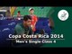 Copa Costa Rica 2014