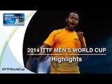 2014 Men's World Cup Highlights: TANG Peng vs ARUNA Quadr (1/16)