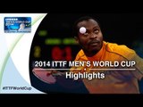 2014 Men's World Cup Highlights: SHIBAEV (RUS) vs ARUNA (NGR) - (Qual Groups)