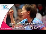 2014 ITTF Women's World Cup - Shot of the day: Day 3