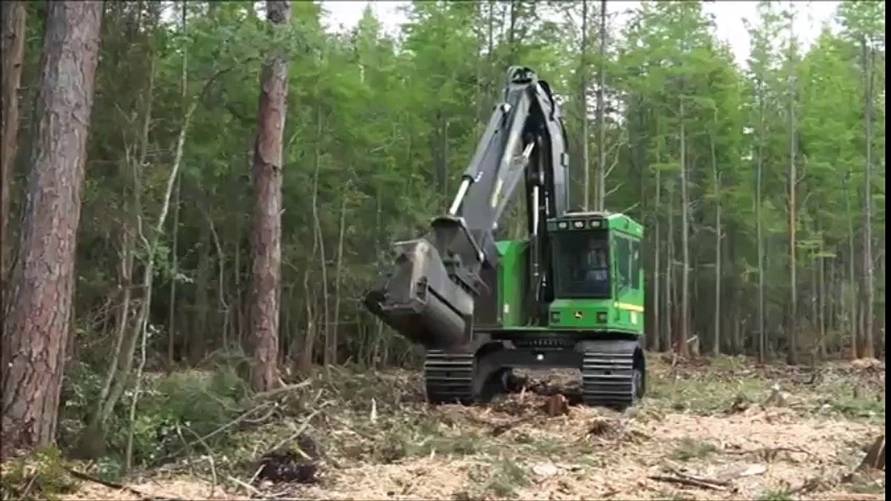 Böyle ağaç kesme tekniği görmediniz