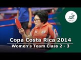 Copa Costa Rica 2014 Bra-Bra vs Kor-Kor (TF2-3)