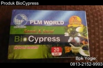 0813-2152-9993 (Bpk.Yogie), herbal life slim, BioCypress Halmahera Barat