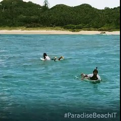 Ataque sorpresa de un tiburón blanco