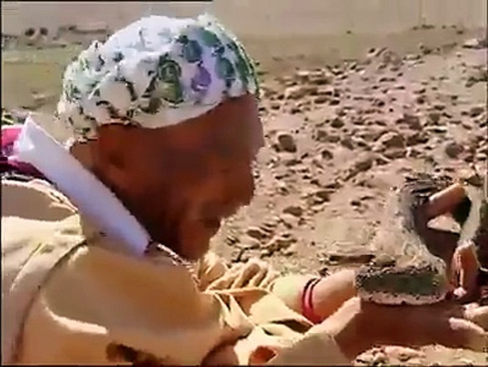 Snake Hunter in the Desert