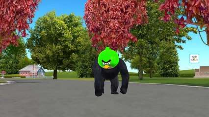 dinosaurios rex en español para niños #Dinosaurs Cartoons For Children #Finger Family Dino