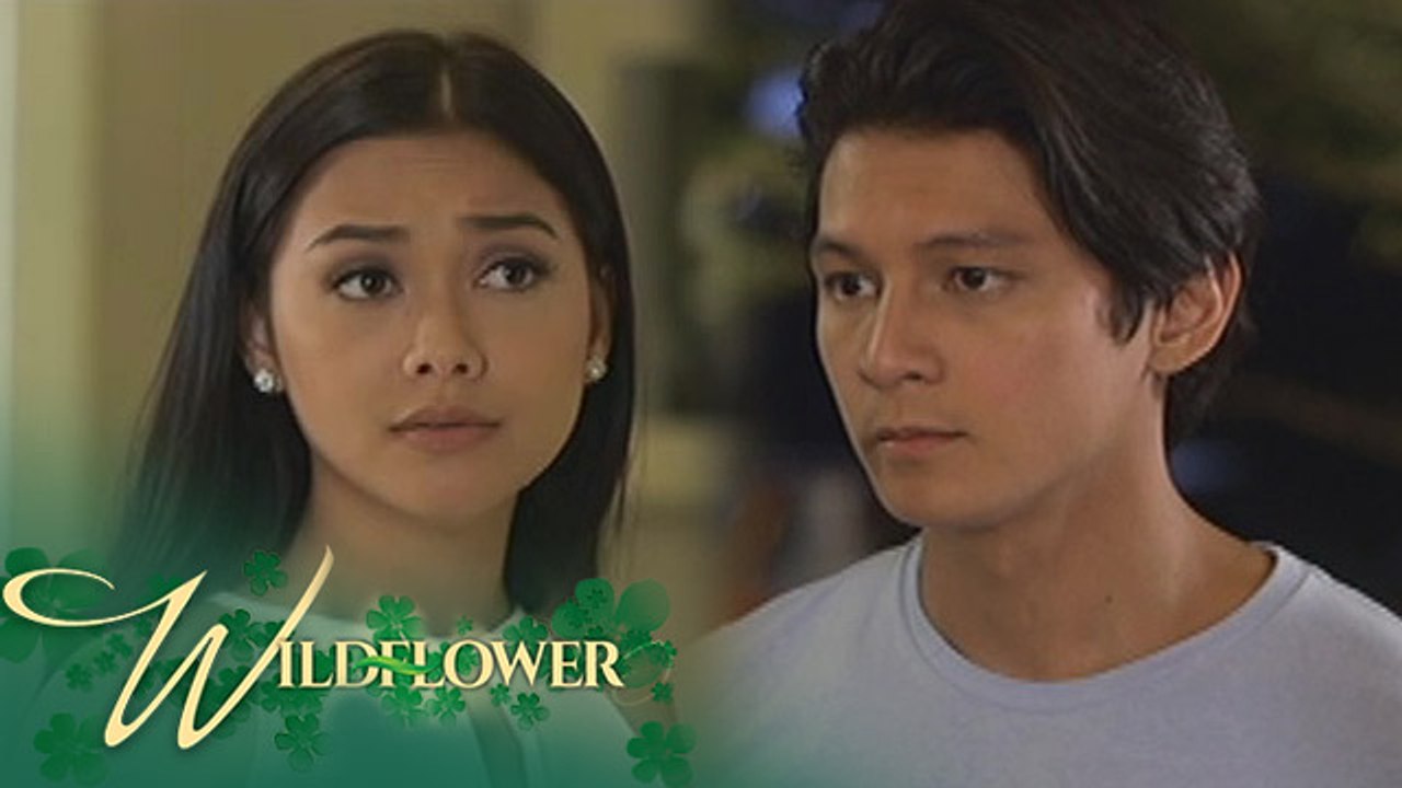 Wildflower: Diego apologizes to Ivy