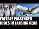 Owl found alive hiding  in landing gear of Aircraft : Oneindia News
