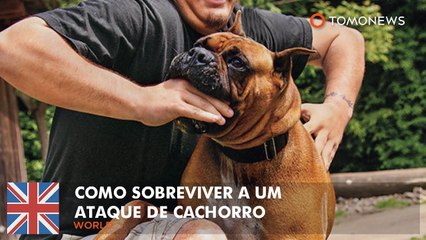 Como sobreviver a um ataque de cachorro.