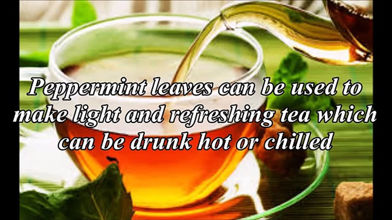 Peppermint Tea- Lose Weight in Two Weeks - Dailymotion
