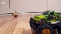 Dino Hunter Monster Truck RC by Dickie Toys with Screaming Dinosaurs Video - KidsChanel