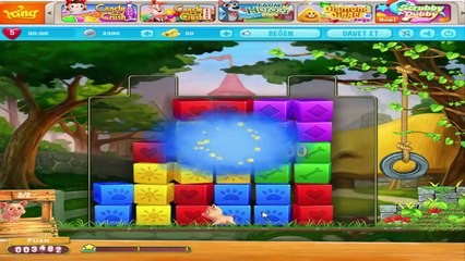 Pet Rescue Saga Level 5