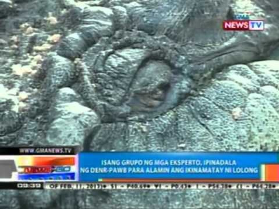 NTG: Isang grupo ng mga eksperto, ipinadala ng DENR-PAWB para alamin ang ikinamatay ni Lolong