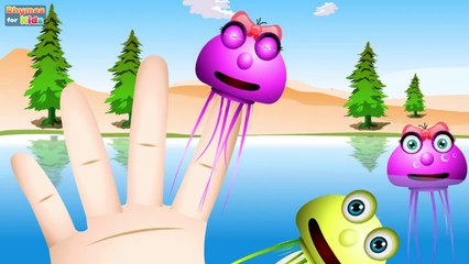 Jellyfish Finger Family Songs For Kids And Nursery Rhymes For children