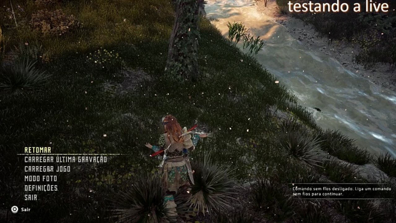 Horizon Zero Dawn (69)