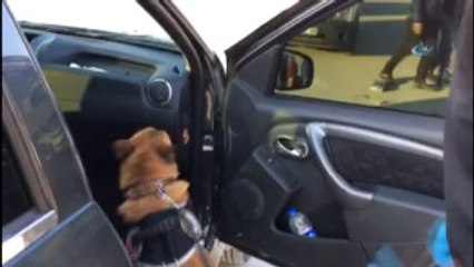 Otomobilde Saklanan Eroin Narkotik Köpeği 'Şila' Tarafından Bulundu