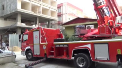 İtfaiye ile Kedinin Ağaçta Köşe Kapmaca Oyunu