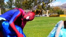 Spiderman Hulk - the spider bites the Incredible Hulk